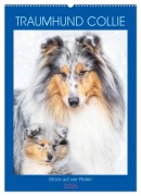 Traumhund Collie - Glück auf vier Pfoten (Wandkalender 2026 DIN A2 hoch), CALVENDO Monatskalender - Sigrid Starick