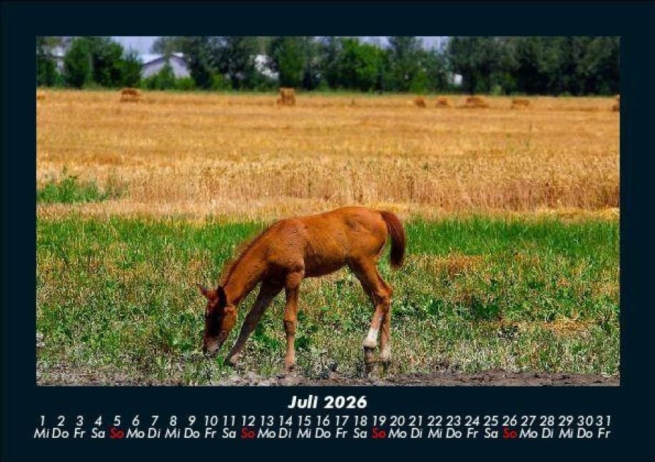 InsideView 11