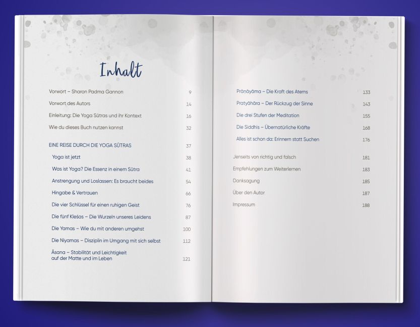 InsideView 1