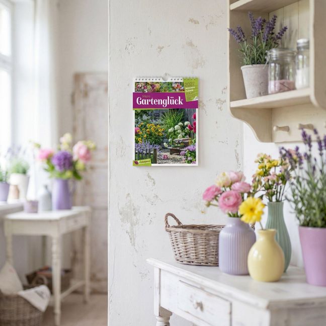 InsideView 58