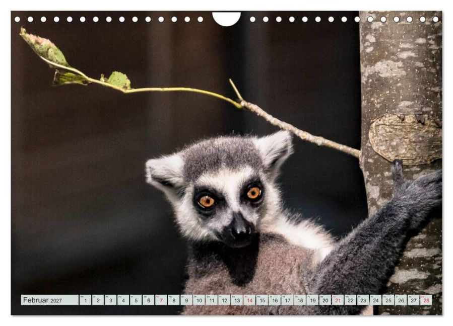 InsideView 7