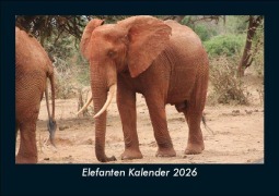 Cover-Bild zum Titel 'Elefanten Kalender 2026 Fotokalender DIN A5' von 'Tobias Becker'