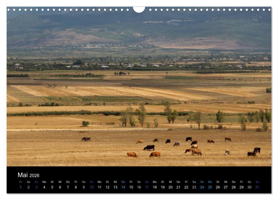 InsideView 10