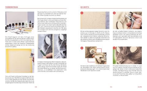 InsideView 8