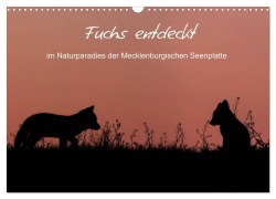 Cover-Bild zum Titel 'Fuchs entdeckt - im Naturparadies der Mecklenburgischen Seenplatte (Wandkalender 2027 DIN A3 quer), CALVENDO Monatskalender' von 'André Pretzel - FotoPretzel'