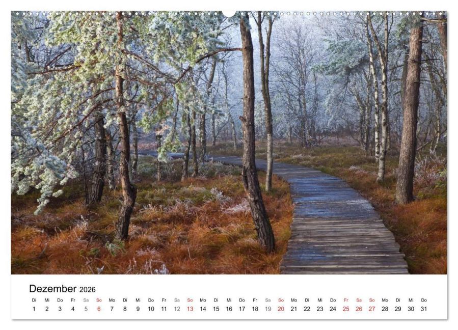 InsideView 3