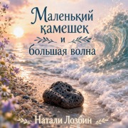 Cover-Bild zum Titel 'Маленький камешек и большая волна' von 'Natalie Lozbin'