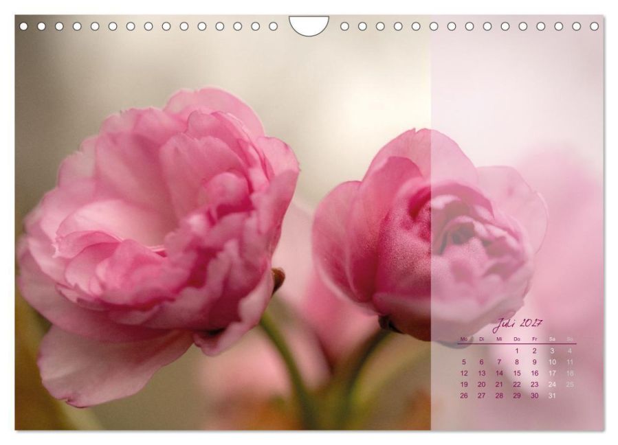 InsideView 12