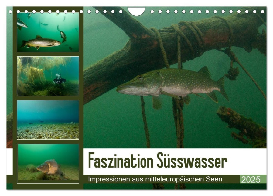Faszination Süsswasser (Wandkalender 2025 DIN A4 quer), CALVENDO Monatskalender - Sven Gruse