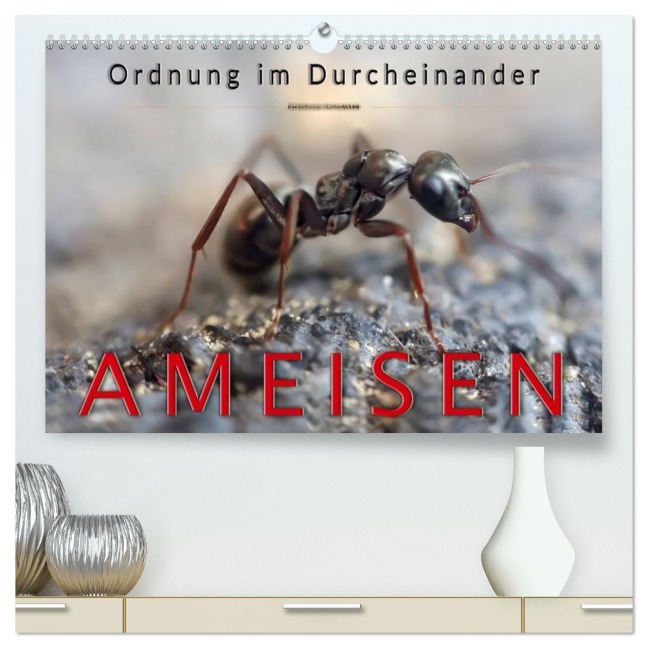 Ameisen - Ordnung im Durcheinander (hochwertiger Premium Wandkalender 2026 DIN A2 quer), Kunstdruck in Hochglanz - Peter Roder