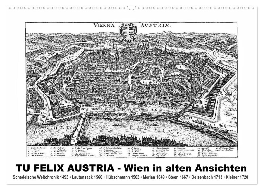 TU FELIX AUSTRIA - Wien in alten Ansichten (Wandkalender 2026 DIN A2 quer), CALVENDO Monatskalender - Claus Liepke