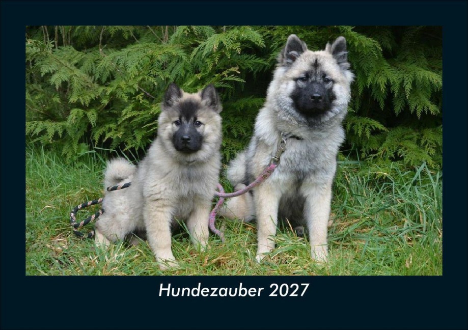 Hundezauber 2027 Fotokalender DIN A5 - Tobias Schmitt, Kevin Heber