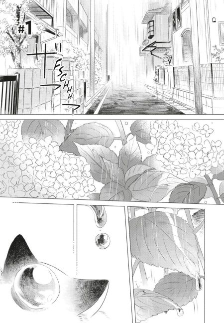 InsideView 5
