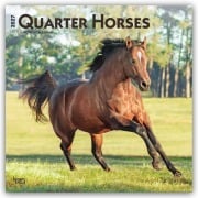 Cover-Bild zum Titel 'Quarter Horses - Quarter Horse 2027 - 16-Monatskalender' von 'Browntrout Publishers'