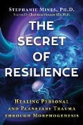 Cover-Bild zum Titel 'The Secret of Resilience' von 'Stephanie Mines'