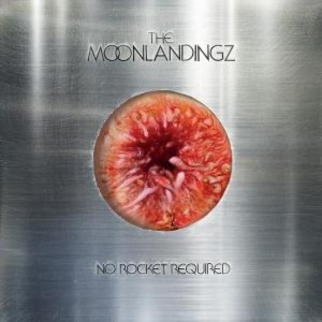 No Rocket Requiered - The Moonlandingz