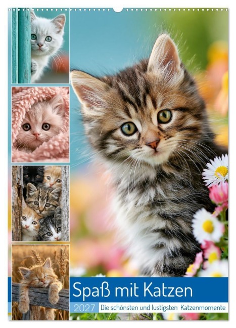Spaß mit Katzen (Wandkalender 2027 DIN A2 hoch), CALVENDO Monatskalender - Steffen Gierok-Latniak