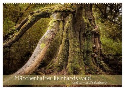 Märchenhafter Reinhardswald und Urwald Sababurg (Wandkalender 2026 DIN A2 quer), CALVENDO Monatskalender - Michael Pohl