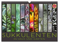 Cover-Bild zum Titel 'Sukkulenten in Haus und Garten (Wandkalender 2026 DIN A3 quer), CALVENDO Monatskalender' von 'Martina Cross'