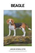 Cover-Bild zum Titel 'Beagle' von 'Jakub Kowalczyk'