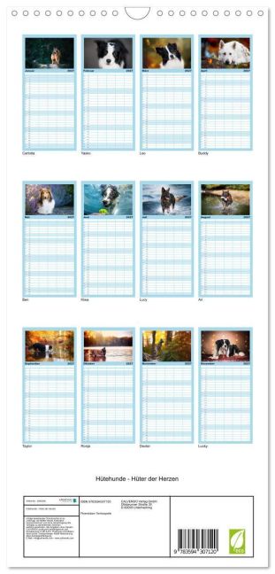 InsideView 4