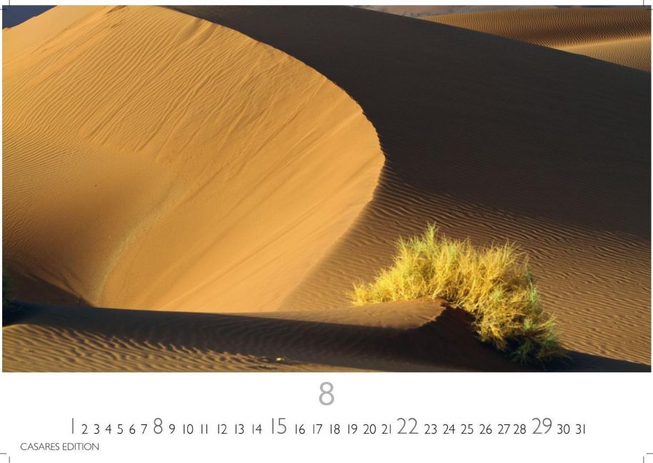 InsideView 8