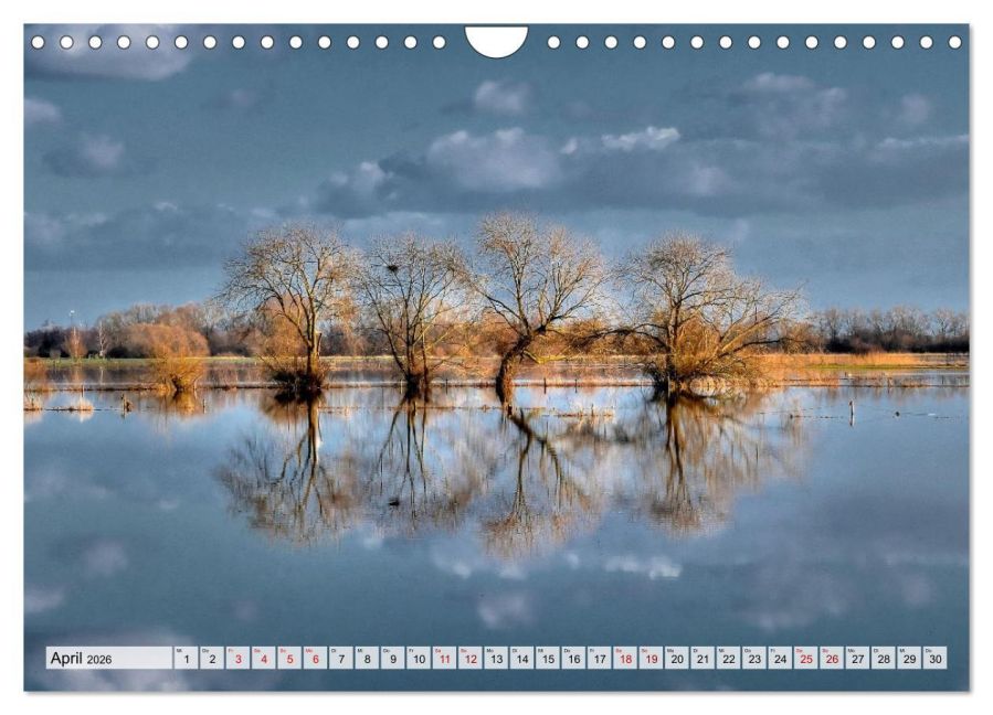 InsideView 9