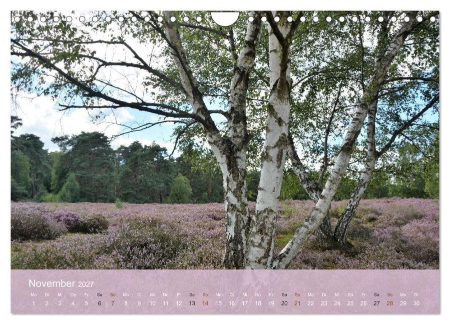 InsideView 3