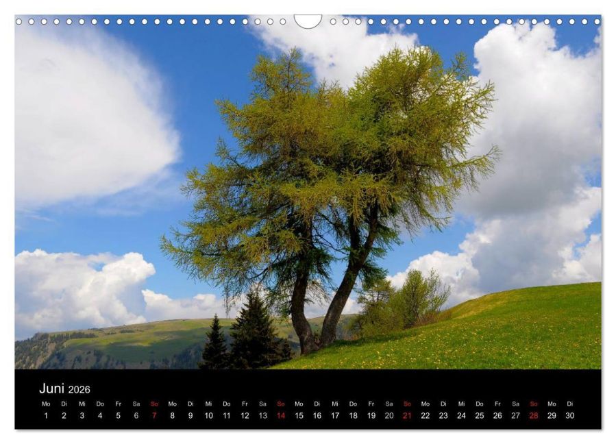 InsideView 11