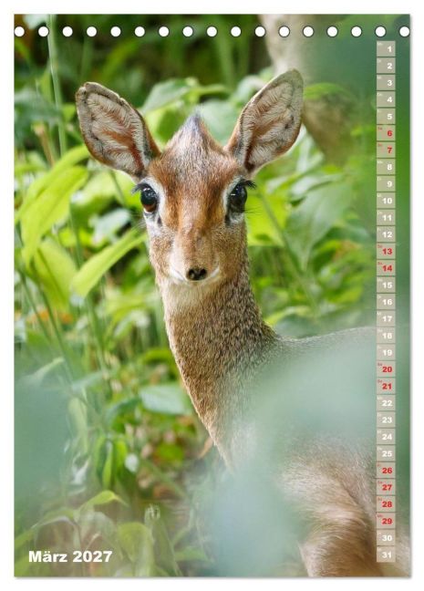InsideView 8