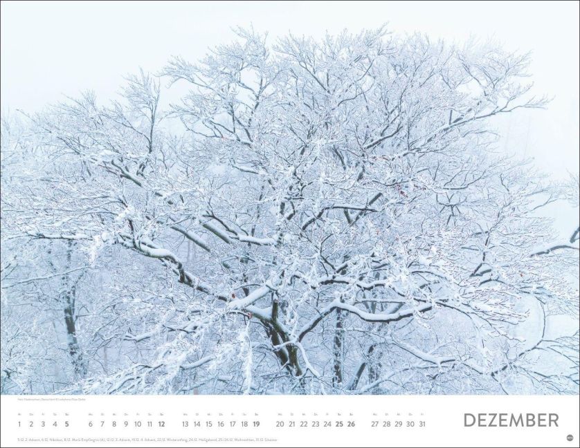 InsideView 12