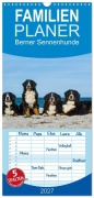 Cover-Bild zum Titel 'Familienplaner 2027 - Berner Sennenhund 2027 mit 5 Spalten (Wandkalender, 21 x 45 cm) CALVENDO' von 'Sigrid Starick'