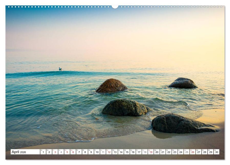 InsideView 8
