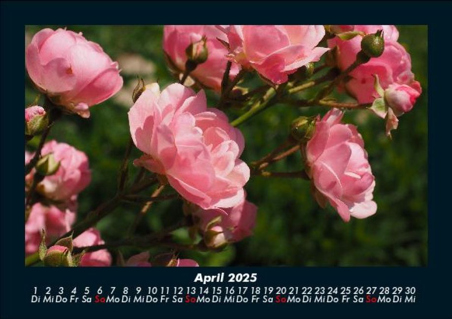 InsideView 8