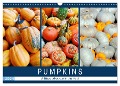 Pumpkins - A blaze of colour in the field (Wall Calendar 2024 DIN A3 landscape), CALVENDO 12 Month Wall Calendar - Anja Frost