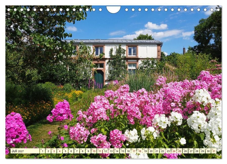 InsideView 12
