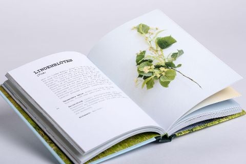 InsideView 12