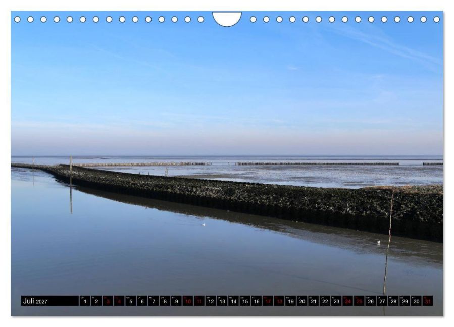 InsideView 12