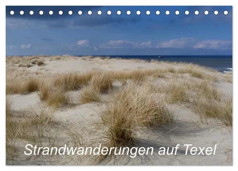 Strandwanderungen auf Texel (Tischkalender 2026 DIN A5 quer), CALVENDO Monatskalender - Ute Stehlmann