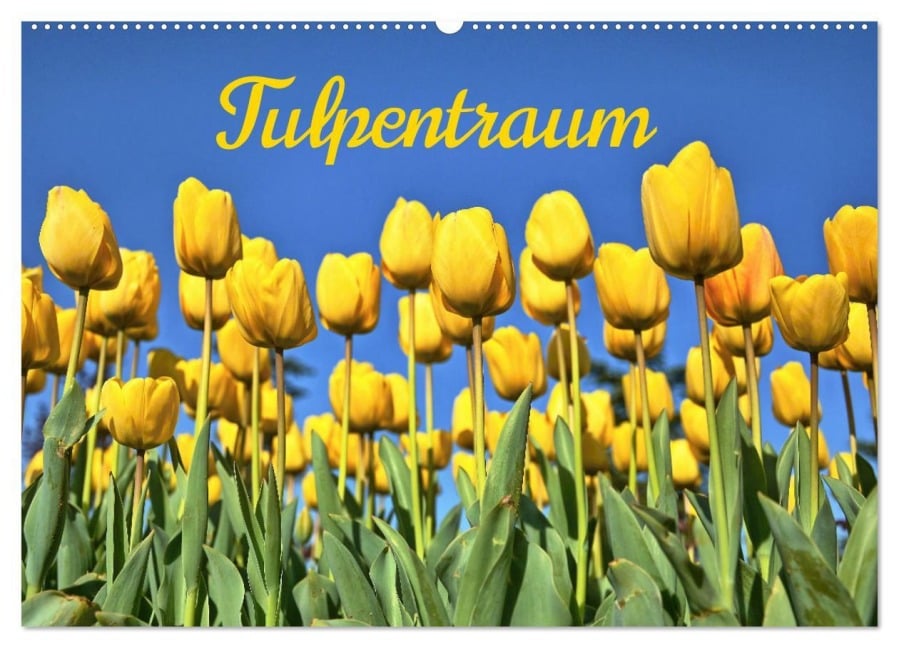 Tulpentraum (Wandkalender 2025 DIN A2 quer), CALVENDO Monatskalender - (C) By Insideportugal