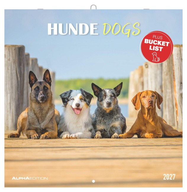 Hunde 2027 - 