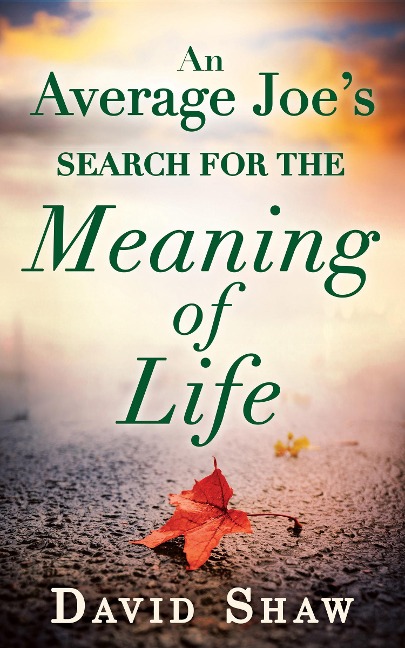 An Average Joe's Search For The Meaning Of Life - David Shaw