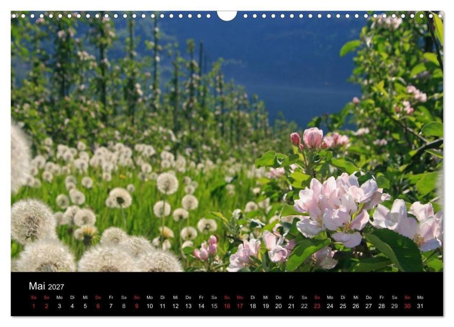 InsideView 10