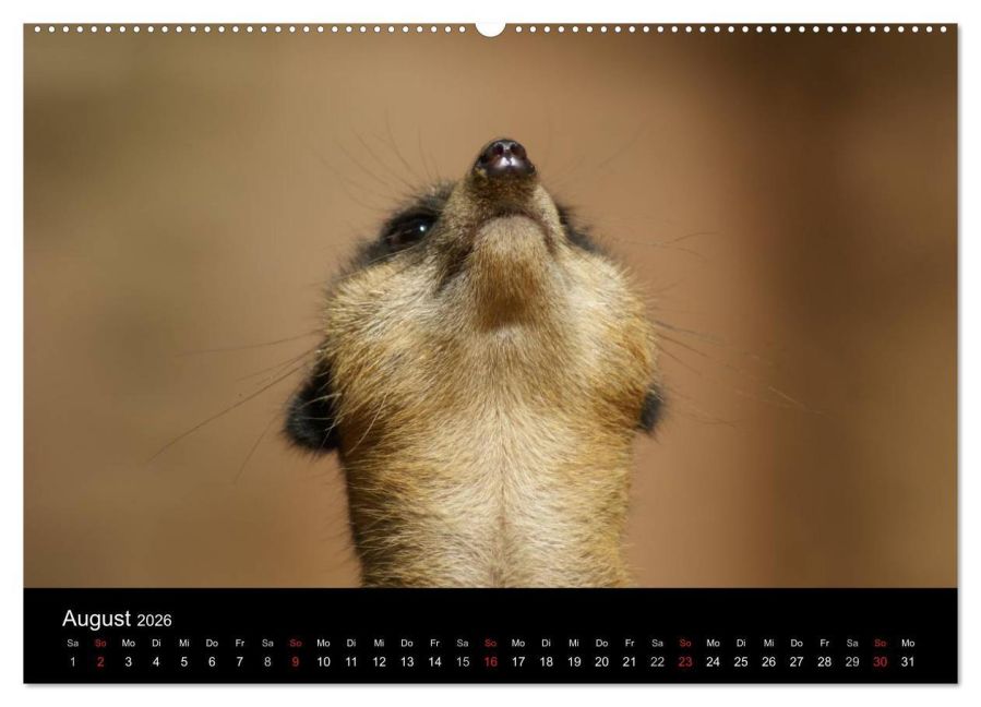 InsideView 13