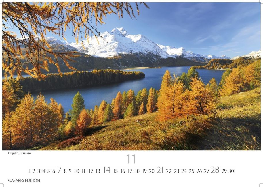 InsideView 11
