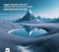 Cover-Bild zum Titel 'Newfoundland Tristesse' von 'Lucia/Dow Ronny Graupe's Szelest feat. Cadotsch'