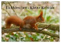 Eichhörnchen - Kleine Kobolde (Wandkalender 2024 DIN A4 quer), CALVENDO Monatskalender - Kattobello Kattobello