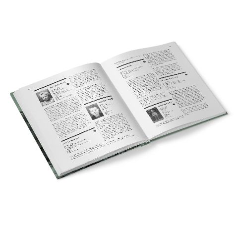 InsideView 4