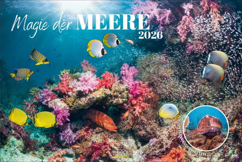 Magie der Meere 2026 - 