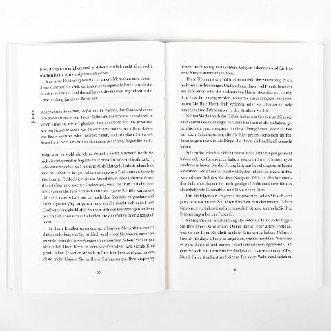InsideView 3